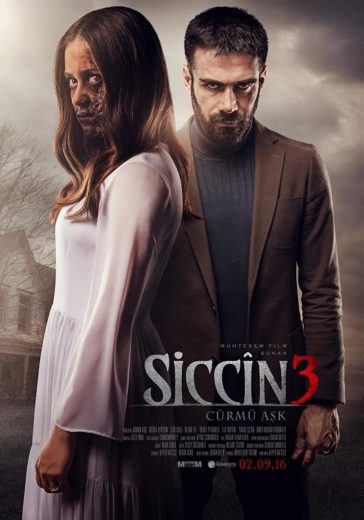 Siccin 3 2016