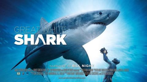 مشاهدة فيلم Great White Shark 2013 مترجم HD