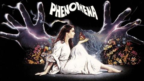 Phenomena 1985