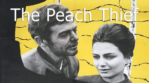 The Peach Thief 1964
