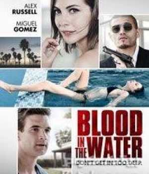 Blood in the Water 2016