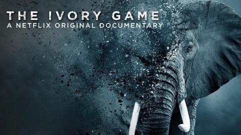 مشاهدة فيلم The Ivory Game 2016 مترجم HD