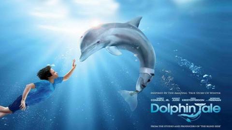 مشاهدة فيلم Dolphin Tale 2011 مترجم HD