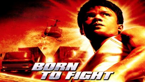 Born to Fight 2004