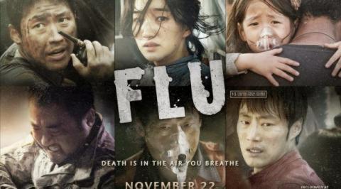Flu 2013