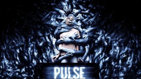 Pulse 2006