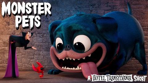 Monster Pets A Hotel Transylvania 2021