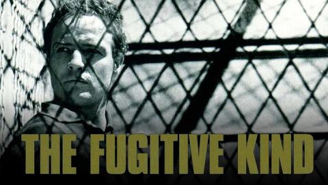 The Fugitive Kind 1960