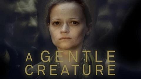 مشاهدة فيلم A Gentle Creature 2017 مترجم HD