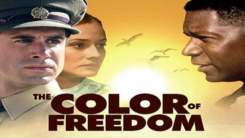 The Color of Freedom 2007