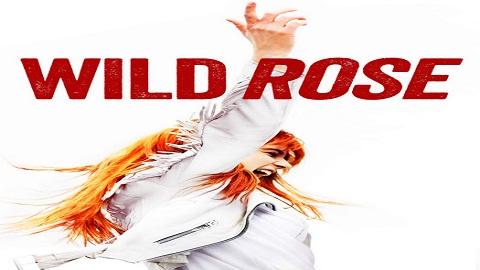 Wild Rose 2018