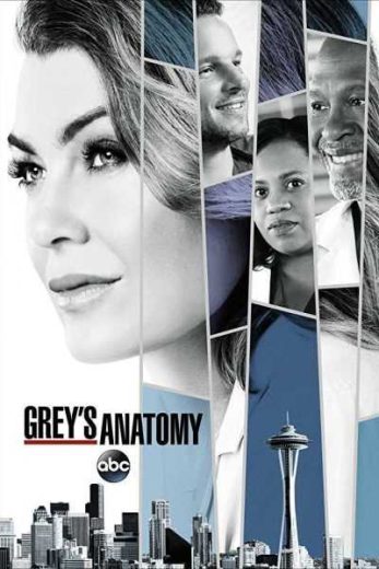 مسلسل Grey’s Anatomy الموسم 14 الحلقة 6 السادسة مترجمة