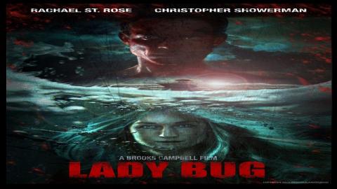 Lady Bug 2017