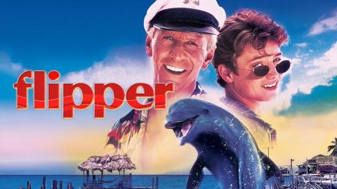 Flipper 1996