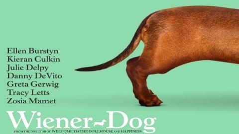 مشاهدة فيلم Wiener-Dog 2016 مترجم HD