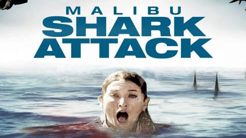 Malibu Shark Attack 2009