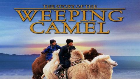 The Story of the Weeping Camel 2003