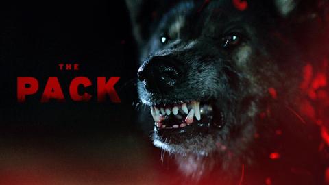 مشاهدة فيلم The Pack 2015 مترجم HD