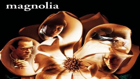 Magnolia 1999