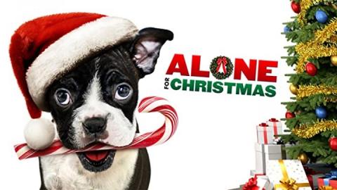 مشاهدة فيلم Alone for Christmas 2013 مترجم HD