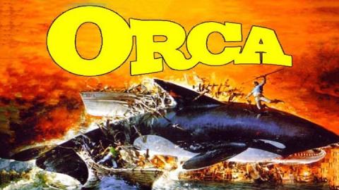 Orca 1977